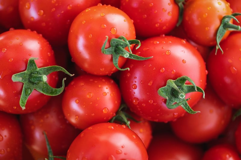 Plant-Based Ingredients